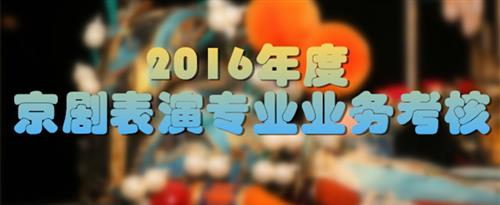 骚杯自慰国家京剧院2016年度京剧表演专业业务考...